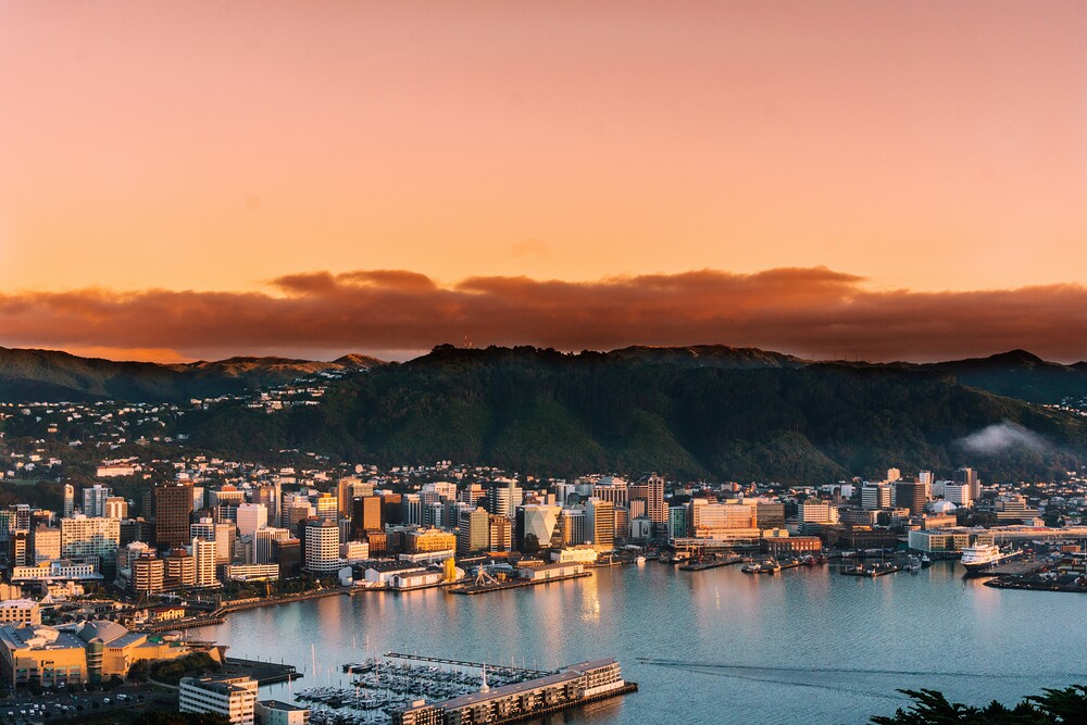 Brocnbells coming to Wellington