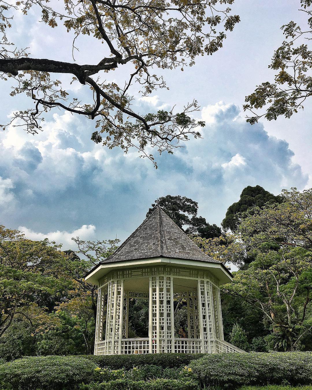 singapore_botanic_gardens_brocnbells