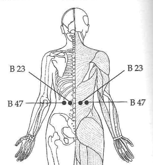 sea of vitality lower back relief