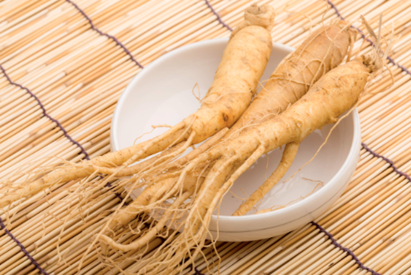 panax_ginseng_adaptogen