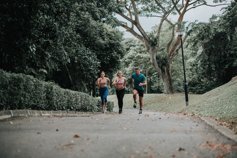 Singapore Weekend: Outdoor Walking and Hiking Routes in Nature